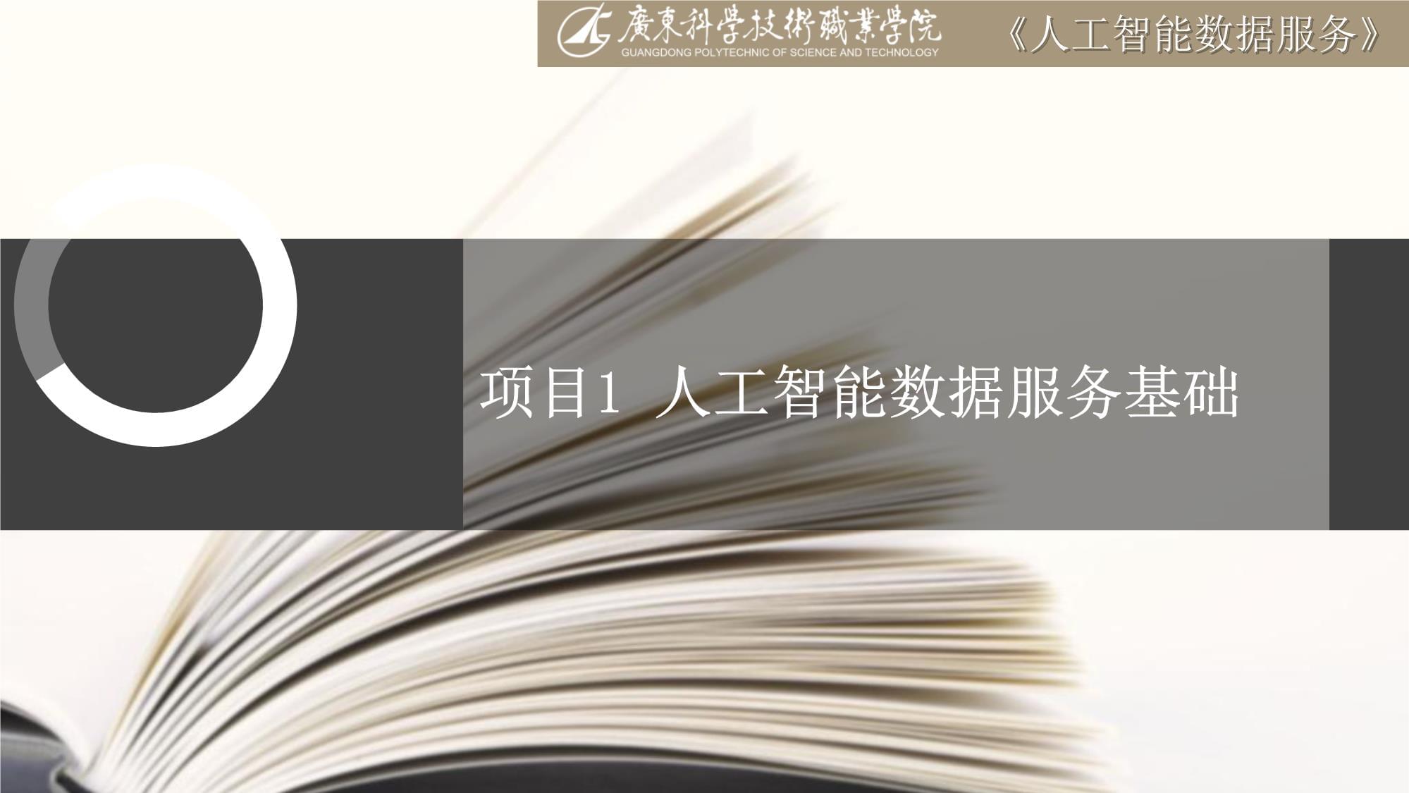 人工智能数据服务基础 数据处理与数据处理服务